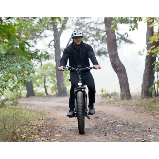 Rower elektryczny JOBOBIKE Robin Wysoka rama Czarny 14.5Ah POWYSTAWOWY