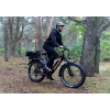 Rower elektryczny JOBOBIKE Robin Wysoka rama Czarny 14.5Ah POWYSTAWOWY